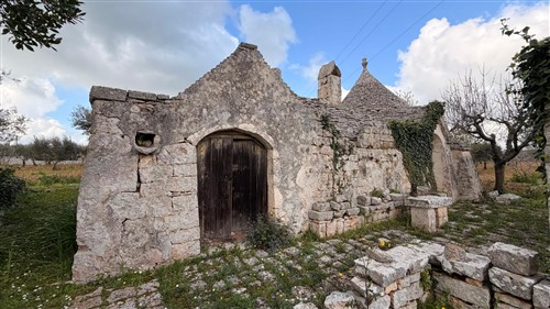 Ad 1 Km dal Paese, Trulli con Conversa e Terreno di 14.000 mq ca.